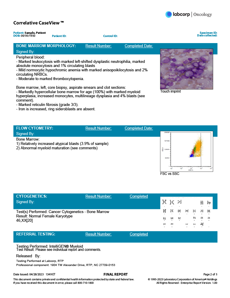 CCV sample report page 2