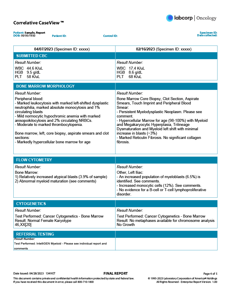 CCV sample report page 4