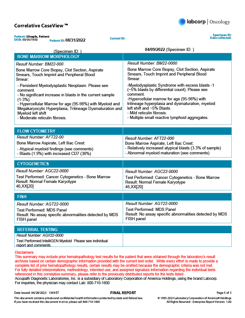 CCV sample report page 5