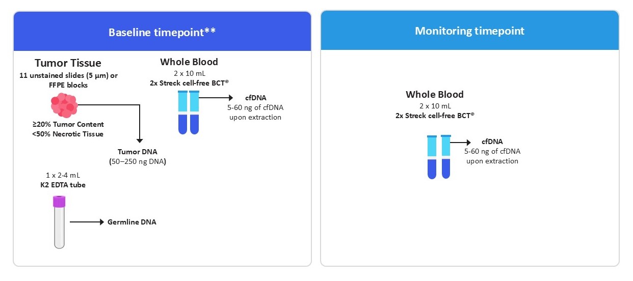 A two‑panel graphic showing baseline and monitoring sample needs. Baseline includes tumor tissue (11 unstained 5 μm slides or FFPE blocks, ≥20% tumor content, <50% necrotic tissue) producing tumor DNA, whole blood (2 × 10 mL Streck cell‑free BCT) producing 5–60 ng cfDNA, and a 2–4 mL K2 EDTA tube for germline DNA. Monitoring uses whole blood only, yielding 5–60 ng cfDNA.
